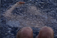215